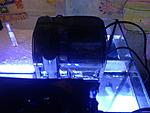 IMG 0533