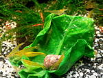 IMG 20140415 085752191