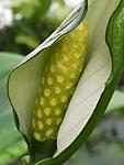 20141006 142313