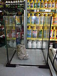 IMG 20140924 113117