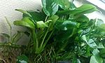 IMG 20140925 193835