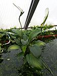 20141006 142252