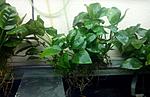 IMG 20140925 193805