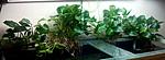 IMG 20140925 193902