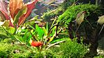 20140907 151643 resized 1
