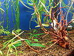 IMG 20141007 203740