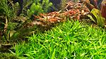 20140907 151606 resized