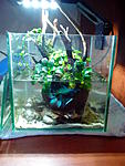 IMG 20140925 145753