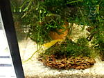 IMG 20140923 183137499