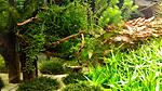 20140907 151557 resized