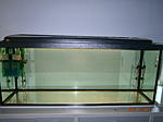 PA080086