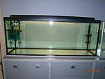PA080085