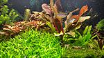 20140907 151622 resized