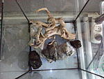 IMG 20140924 115954