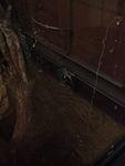 IMG 20141007 231545 453