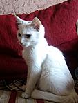 IMG 20140927 101024