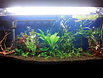 IMG 20141007 203854