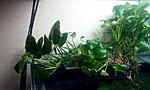 IMG 20140925 193801