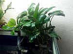 IMG 20140925 193811