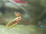 2013 021