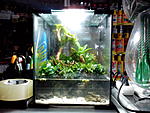 IMG 20140924 154734