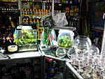 IMG 20140924 154817