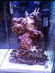 IMG 20141015 141306