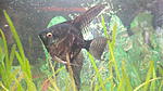 IMG 20141016 144207