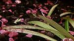 IMG 20141016 112658350