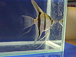 DSCN2604