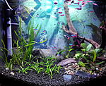 IMG 20141010 202845