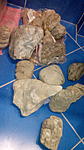 IMG 20141020 220135