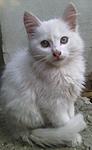 IMG 20141010 154152
