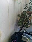 IMG 20141015 141342