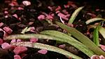 IMG 20141016 112655137
