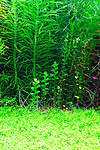 DSC00223