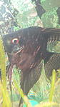 IMG 20141016 144100