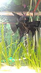 IMG 20141016 144256
