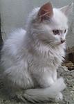 IMG 20141010 154156