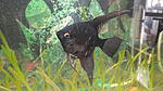 IMG 20141016 143849