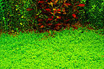 DSC00218