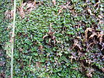 DSC01787