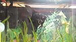 IMG 20141016 143825