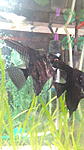 IMG 20141016 144328