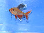 DSCN2534