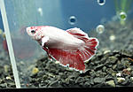 IMG 7997