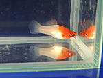 DSCN2568