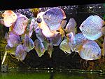 P1010508