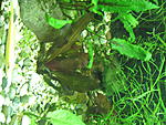 IMG 4549