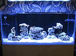 IMG 9393 [  ]
